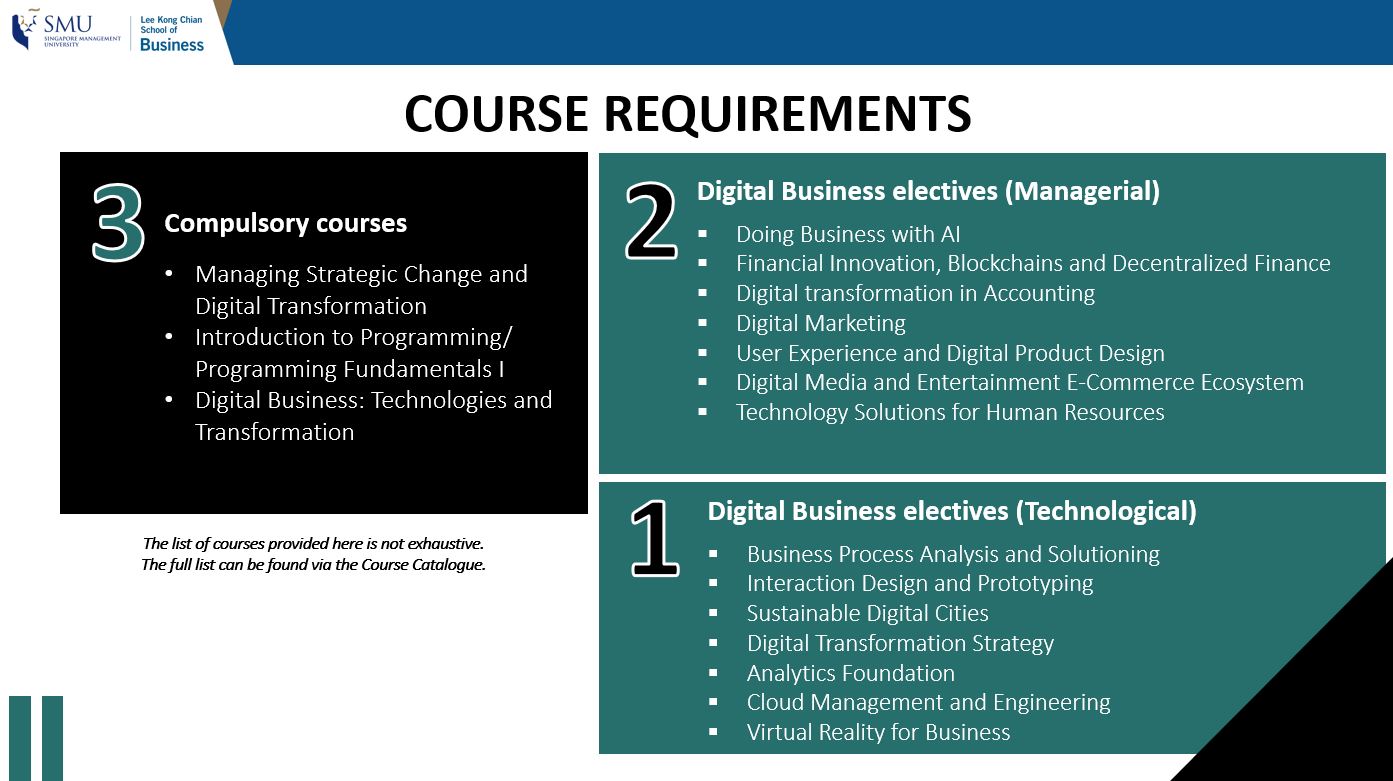 Digital Business Major Lee Kong Chian School of Business